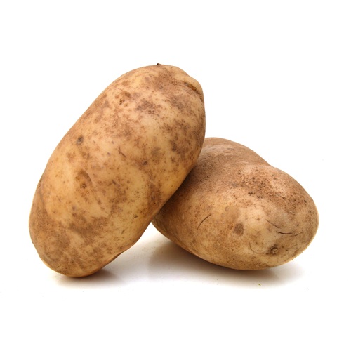 Fresh Butter Russet Potatoes - 1 Each