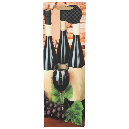 Excelco Color Burst Wine Gift Bag - 1 Each