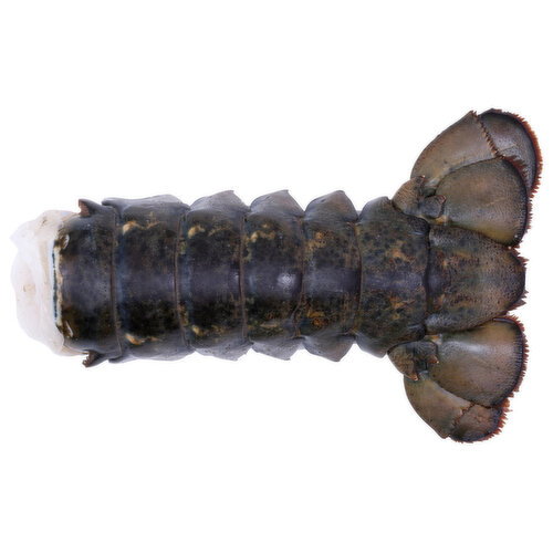 Pacific Seafood Cold Water Raw Lobster Tail 10-12 - Avg 1.13 Lbs