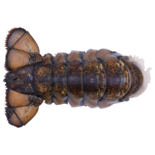 Pacific Seafood Cold Water Raw Lobster Tail 7-8 - Avg 1.00 Lb