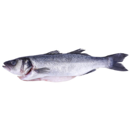 Whole Branzino - Avg 1.00 Lb