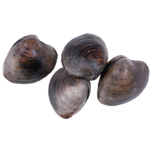 Pacific Seafood Cherrystone Clam - 1 Each