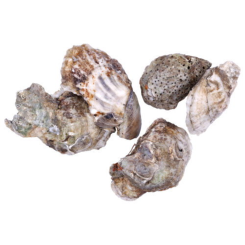 Pacific Seafood Blue Point Oyster - 1 Each