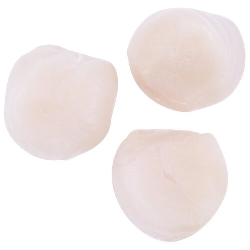 Pacific Seafood Scallop Fresh - Avg 0.74 Lb