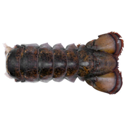 Pacific Seafood Cold Water Raw Lobster Tail 5-6 - Avg 1.00 Lb