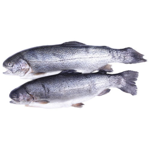 Rainbow Trout - Avg 1.00 Lb