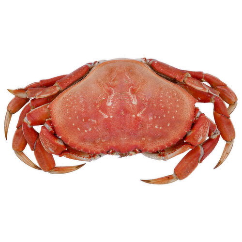 Pacific Seafood Whole Cooked Dungeness Crab - Avg 1.85 Lbs