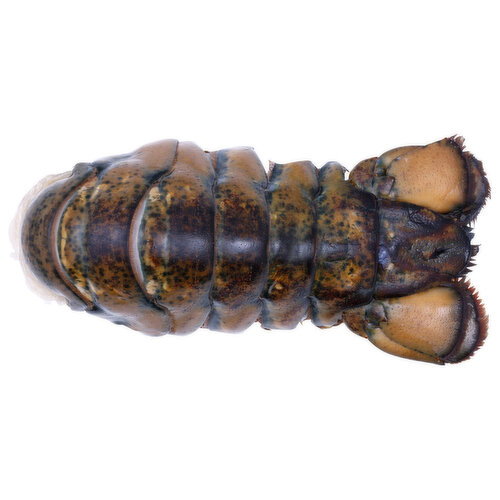 Pacific Seafood Cold Water Raw Lobster Tail 8-10 - Avg 1.05 Lbs