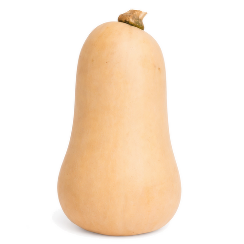 Produce Organic Butter Squash Bagged 1EA - 1 Each