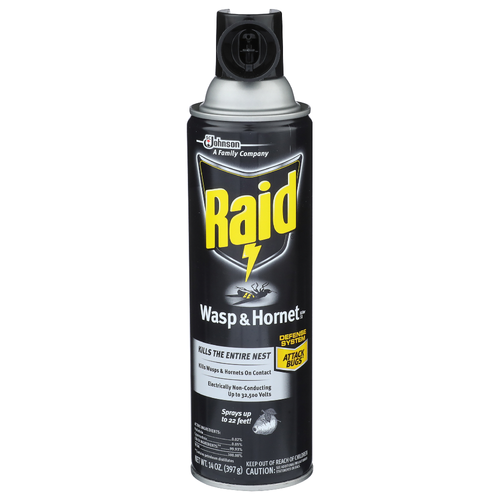 Raid Wasp & Hornet Killer 33 - 14 Ounce