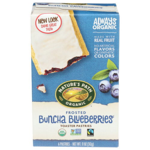 Nature's Path Organic Blueberry Frosted Toaster Pastries Box - 1.833 Ounce - 6 Count