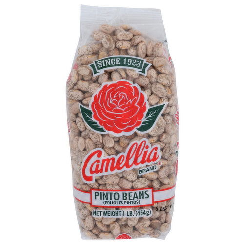Camellia Brand Pinto Beans 12 1 Bags - 1 Pound