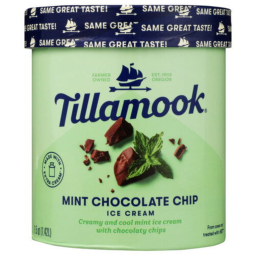 Tillamook Mint Chocolate Chip Ice Cream - 1.5 Quart