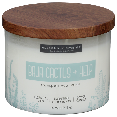 RUGGED & REFINED Baja Cactus & Kelp 3 Wick Candle - 14.75 Ounce
