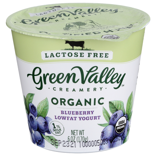 Green Valley Creamery Lowfat Yogurt Blueberry - 6 Ounce