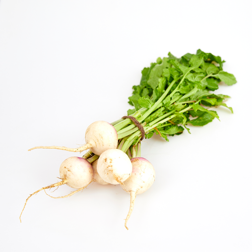Fresh Turnips Baby - 1 Each