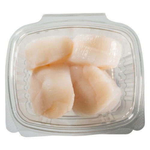 Fresh Scallops - Avg 0.67 Lb