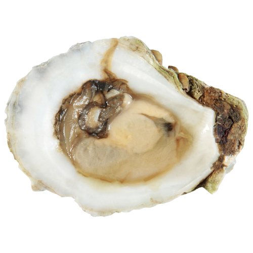 Half Shell Oysters - 2 Ounce