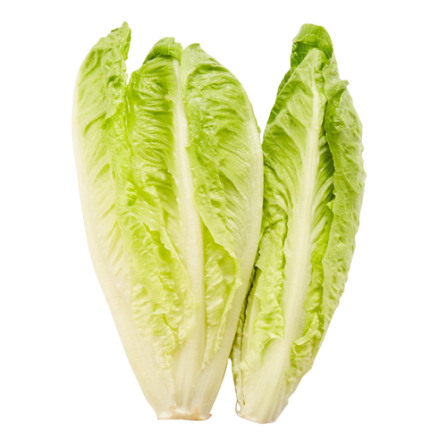 Organic Romaine - 1 Each