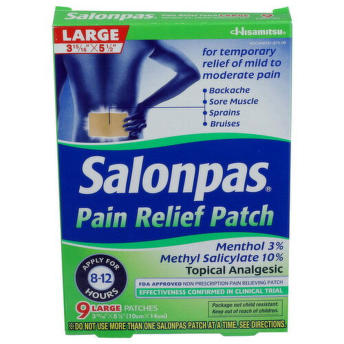 Salonpas Pain Relief Patch, Large - 9 Count