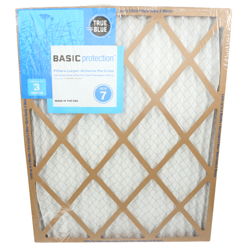 True Blue Basic Protection - 1 Each
