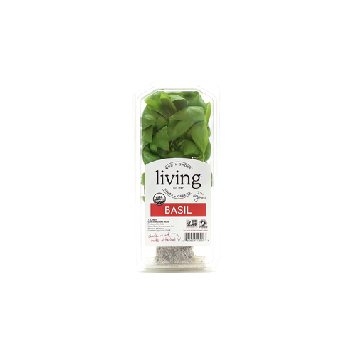 North Shore Living Herbs & Greens Organic Basil - 1 Count