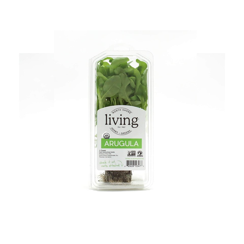 North Shore Living Herbs & Greens Organic Arugula - 1 Count