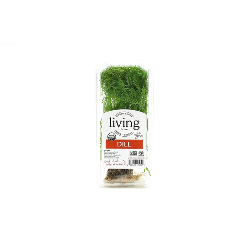 North Shore Living Herbs & Greens Organic Dill - 1 Count