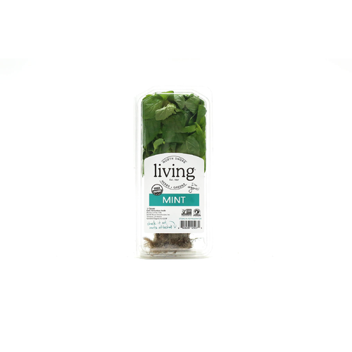 North Shore Living Herbs & Greens Organic Mint - 1 Count