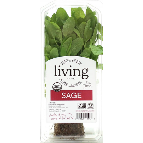 North Shore Living Herbs & Greens Organic Sage - 1 Count