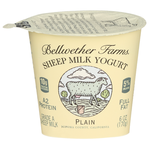 Bellwether Farms Plain Sheep Milk Yogurt - 6 Ounce