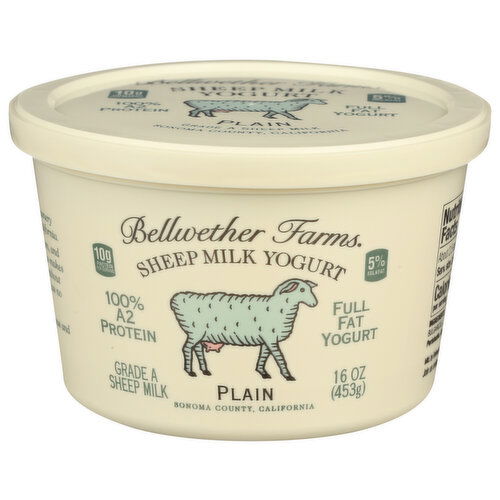 Bellwether Farms Yogurt Sheep Milk Plain - 16 Ounce
