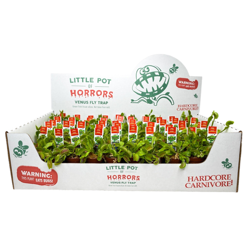 Venus Fly Traps - 1 Each