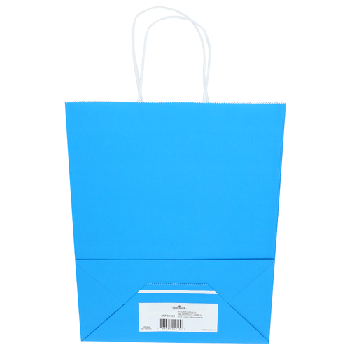 Hallmark Gift Bag - 1 Each