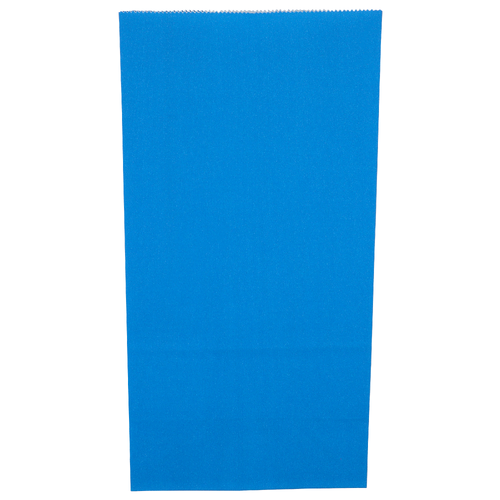 Hallmark Blue Gift Bag - 1 Each