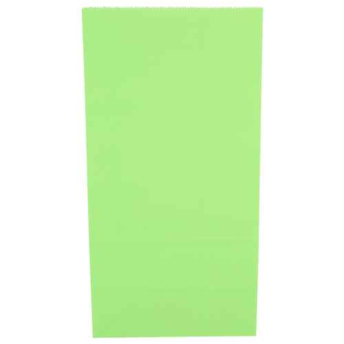 Hallmark Green Gift Bag - 1 Each