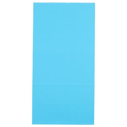 Hallmark Blue Gift Bag - 1 Each