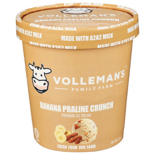 VOLLEMAN's Family Farm Banana Praline Crunch Ice Cream - 1 Pint