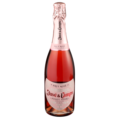 Juve & Camps Pinot Noir - 750 ml