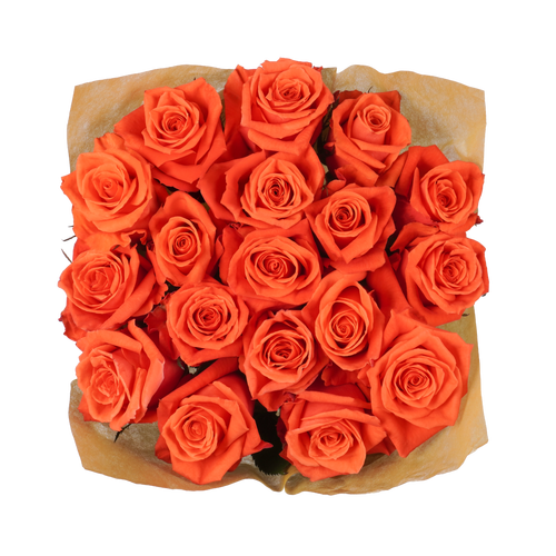 18 Stem Orange Roses - 1 Each