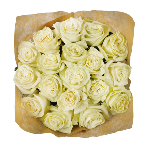 18 Stem White Roses - 1 Each