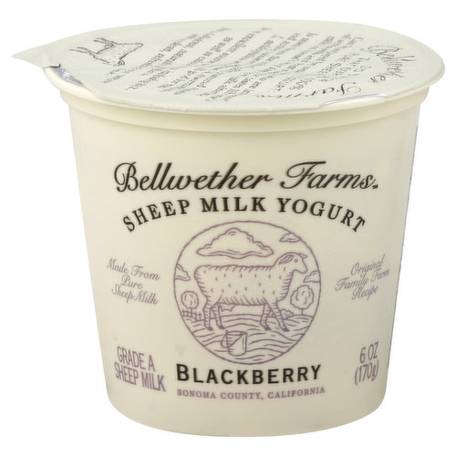 Bellwether Farms Yogurt, Sheep Milk, Blackberry