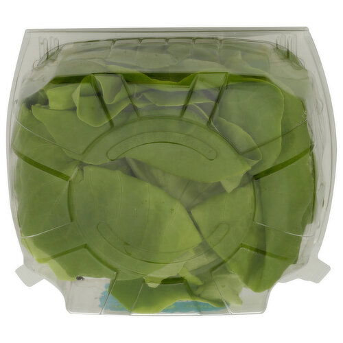 LOCAL BOUNTI Butter Lettuce Clamshell - 1 Count