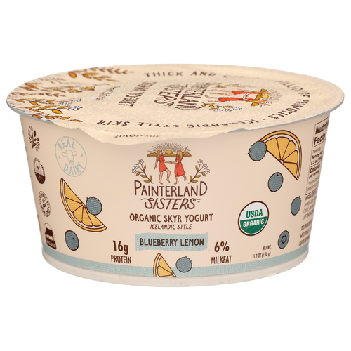 Painterland Sisters Blueberry Lemon Creamy Organic Icelandic Style Skyr Yogurt - 5.3 Ounce