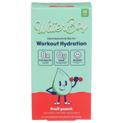 WATERBOY Workout Fruit Pnch 10pkt - 6.5 Gram - 10 Count