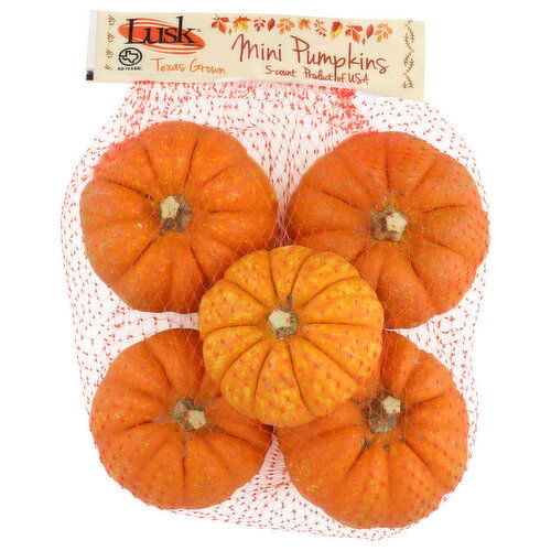 Mini Pumpkins - 5 Count