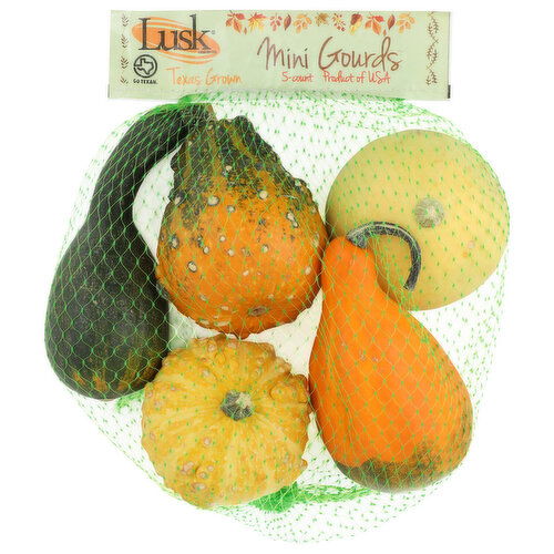 Mini Gourds - 5 Count