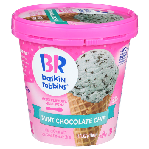 Baskin Robbins Mint Chocolate Chip Ice Cream - 14 Fluid Ounce