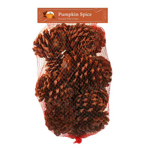 Pumpkin Spice Scented Pinecone - 1 Each