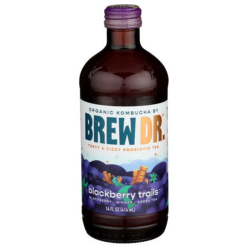 BREW DR. KOMBUCHA Berry Ginger Bottle - 14 Fluid Ounce